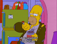 homer simpson GIF