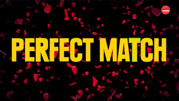 PERFECT MATCH