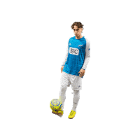 Riseasone Sticker by St. Louis Ambush