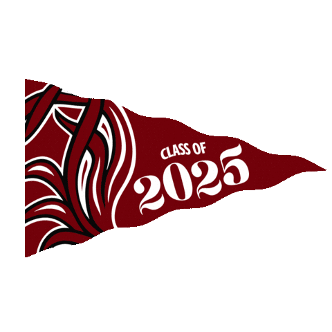 Grad Usc Sticker by University of South Carolina