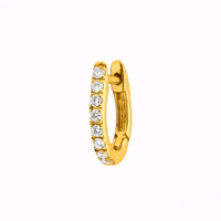 aristocrazy  GIF