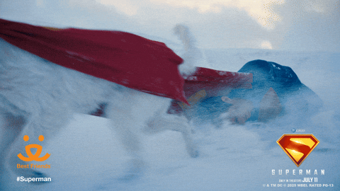 Come Good Boy GIF by Best Friends Animal Society