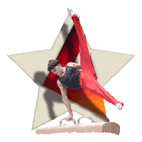 Go For Gold Sticker by Die Finals