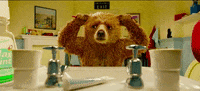 bear cleaning GIF by Videoland