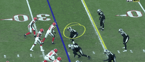 panthers GIF