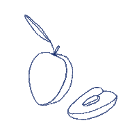 Summer Peach Sticker