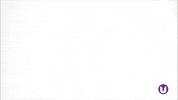Stop Motion Cat GIF by School of Computing, Engineering and Digital Technologies