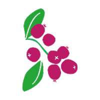 Cranberry Sticker by Pineut