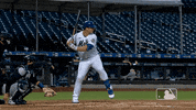 Ny Mets Swing GIF by New York Mets