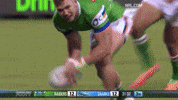 Nrl GIF by Canberra Raiders