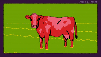 Out of Pasture - Deeper Thoughts