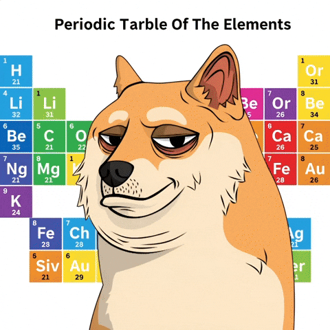 Shiba Inu Dog GIF by Doge Pound