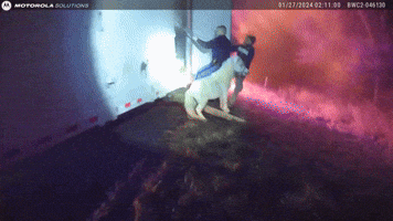 Bodycam Footage Captures Epic Animal Rescue