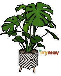 San Diego Monstera Sticker by IvyMay & Co.