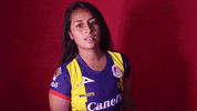 Sanluis Adsl GIF by Atlético de San Luis