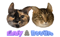 Cats Lady Sticker