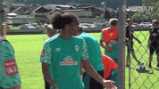 Football Soccer GIF by SV Werder Bremen