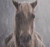 Klauber GIF