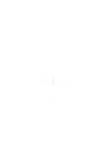 Cat Fun Sticker