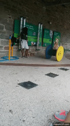 goat rolling GIF
