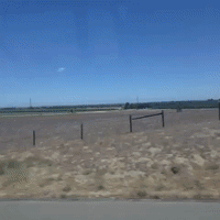 sjvla GIF by LA Galaxy