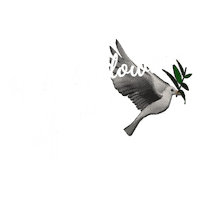 Hahahalloween Sticker