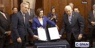 Nancy Pelosi GIF by GIPHY News
