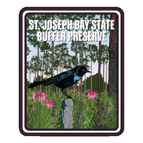 Aquatic Preserve Sticker by FLDEP