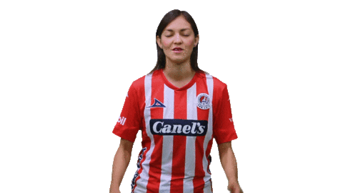 San Luis Soccer Sticker by Atlético de San Luis