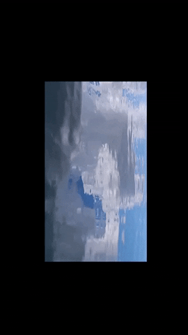 Simongip giphygifmaker GIF