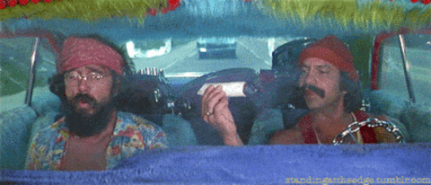 blazed and confused GIF