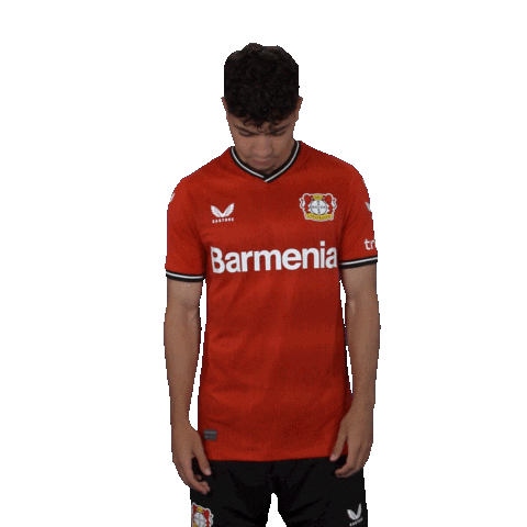 I Know It Hello Sticker by Bayer 04 Leverkusen