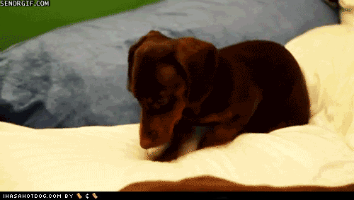digging cabin fever GIF by Cheezburger
