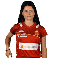 RFEH iberdrola rfeh hockey españa redsticks Sticker