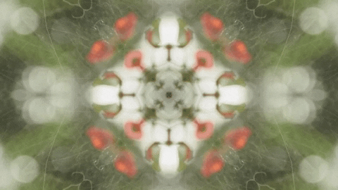 Art Love GIF by jorgemariozuleta