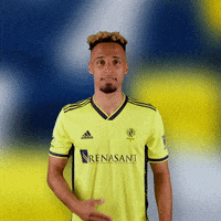 Major League Soccer Football GIF by Nashville SC