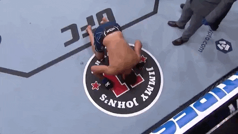 Sport GIF by UFC