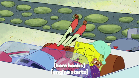 season 9 lost in bikini bottom GIF by SpongeBob SquarePants