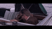 indie sky GIF by Polyvinyl Records