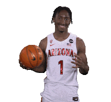 Arizona Wildcats Sticker by Arizona Men's Basketball