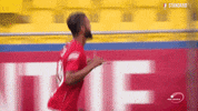 football celebration GIF by Standard de Liège
