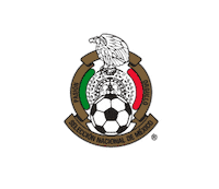 Proud World Cup Sticker by Wells Fargo