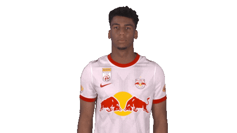 Celebration Sticker by FC Red Bull Salzburg