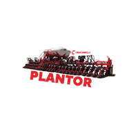 Campo Sticker by Crucianelli