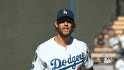 Los Angeles Dodgers No GIF by MLB