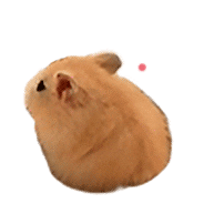 Mouse This Is Cute Sticker