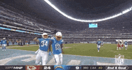 Regular Season Dance GIF by NFL