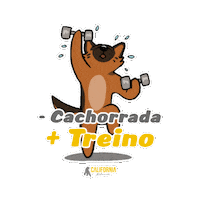 GrupoCaliforniaFitness californiafitness academiacalifornia vempracalifornia Sticker