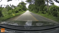 Thai Driver Narrowly Avoids Near-Collision With Overtaking Lorry