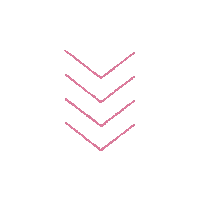 Arrows Campus Sticker by CampusPolska